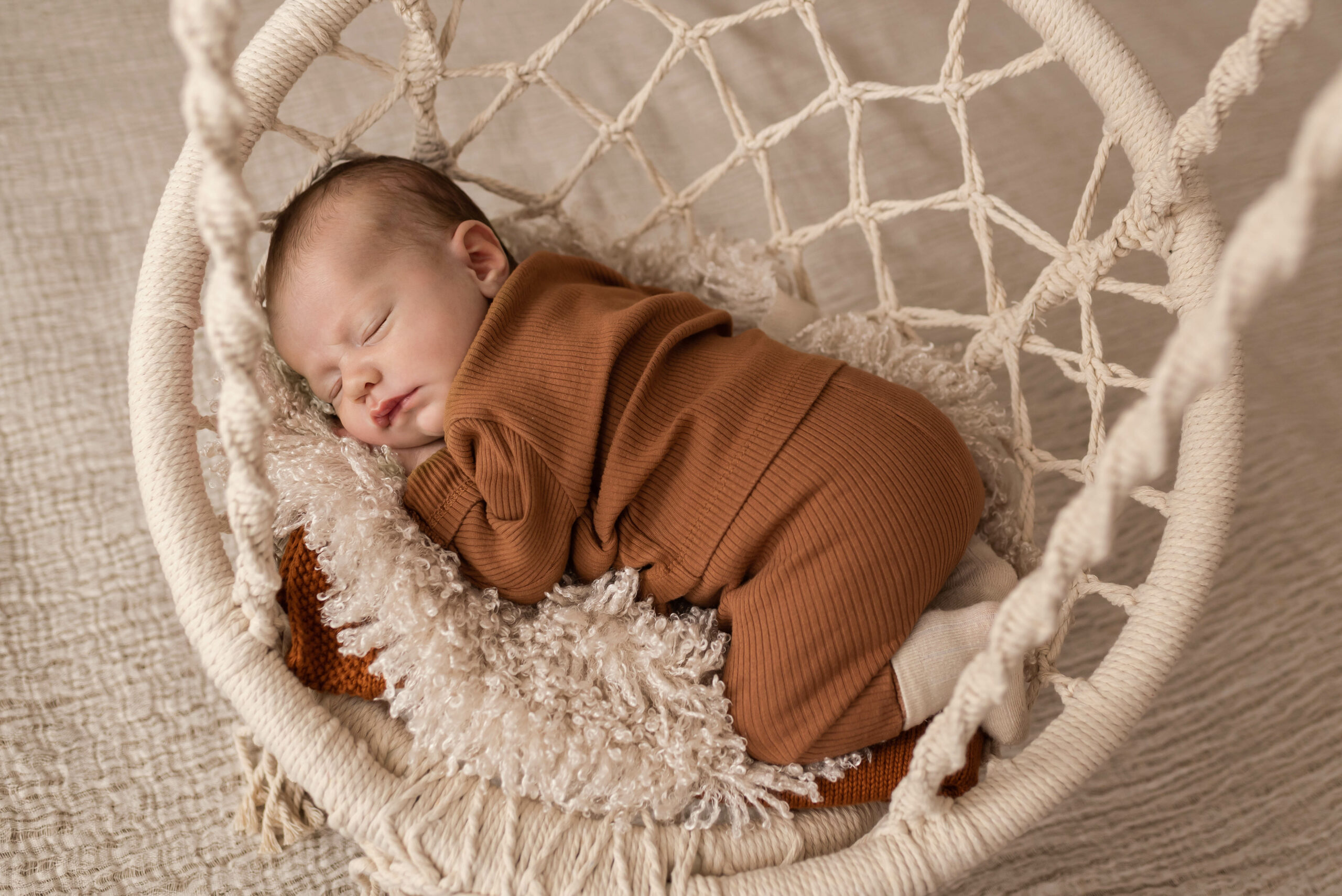 Newborn shoot rover-2 web